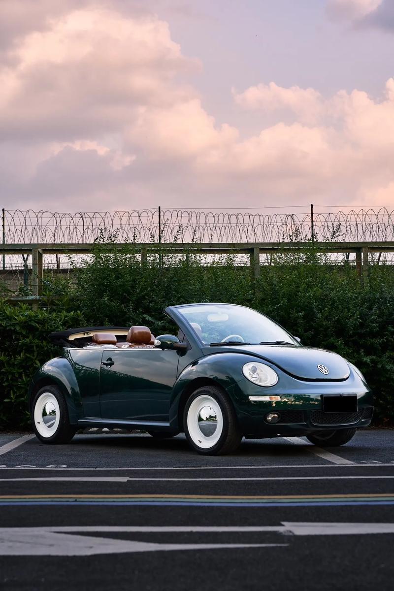 大众甲壳虫视频/大众甲壳虫告别视频