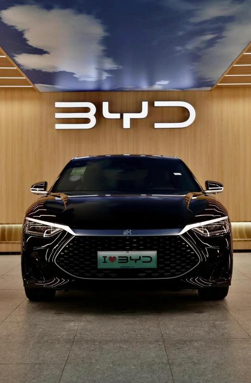 比亚迪汉的缺点(比亚迪汉槽点)