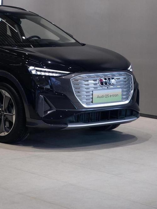 q5etron 奥迪q5etron