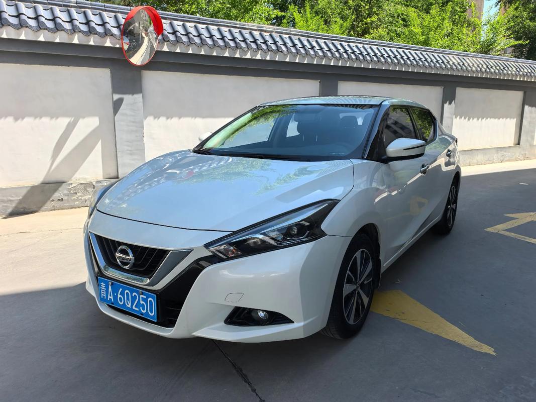 新款蓝鸟多少钱,蓝鸟新车价格