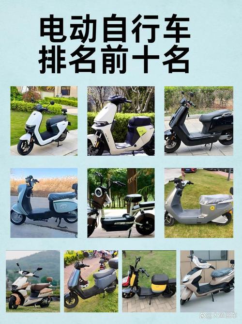 电动自行车/电动自行车哪个牌子最好质量最好