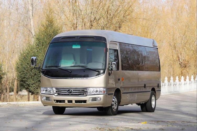 丰田考斯特九座 丰田考斯特九座图片