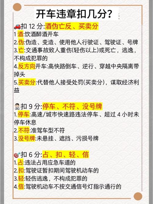 山东交通违章查询app 山东交通违章查询官网