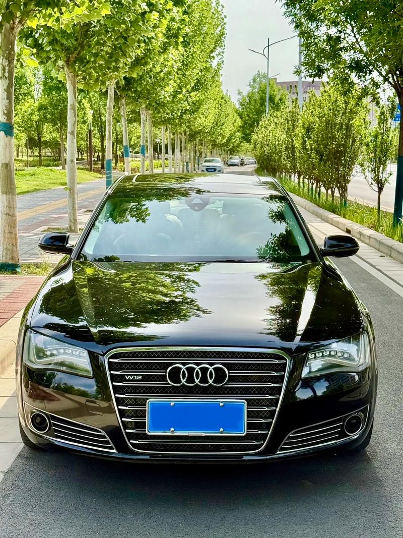 v12和w12的车哪个贵,汽车w12跟v12区别