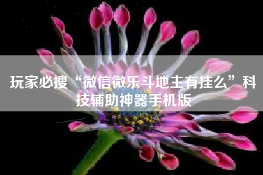 玩家必搜“微信微乐斗地主有挂么”科技辅助神器手机版