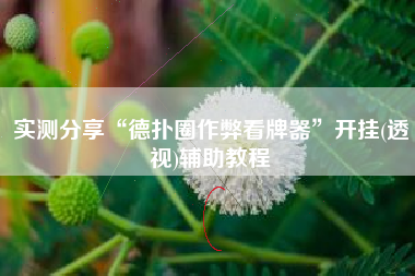 实测分享“德扑圈作弊看牌器”开挂(透视)辅助教程