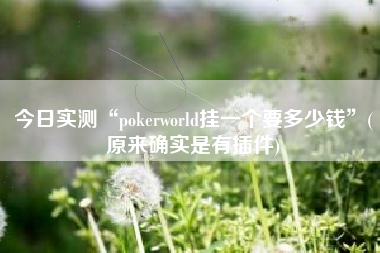 今日实测“pokerworld挂一个要多少钱”(原来确实是有插件)