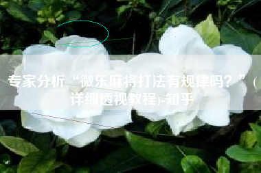 专家分析“微乐麻将打法有规律吗？”(详细透视教程)-知乎