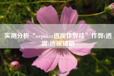 实测分析“wepoker透视作弊挂	”作弊(透视)透视辅助
