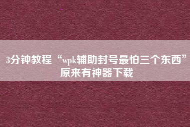 3分钟教程“wpk辅助封号最怕三个东西”原来有神器下载