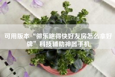可用版本“微乐跑得快好友房怎么拿好牌	”科技辅助神器手机