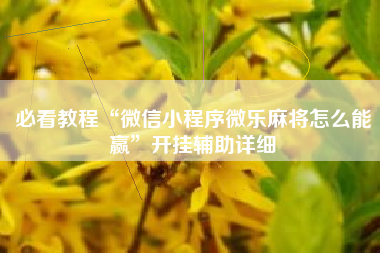 必看教程“微信小程序微乐麻将怎么能赢”开挂辅助详细