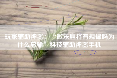 玩家辅助神器：“微乐麻将有规律吗为什么总输	”科技辅助神器手机