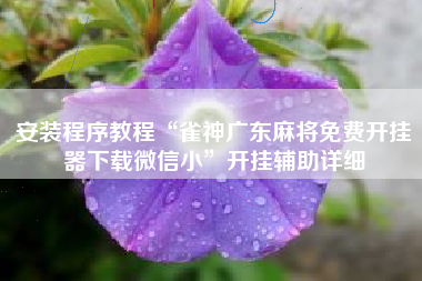 安装程序教程“雀神广东麻将免费开挂器下载微信小	”开挂辅助详细