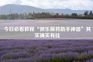 今日必看教程“微乐麻将助手神器”其实确实有挂