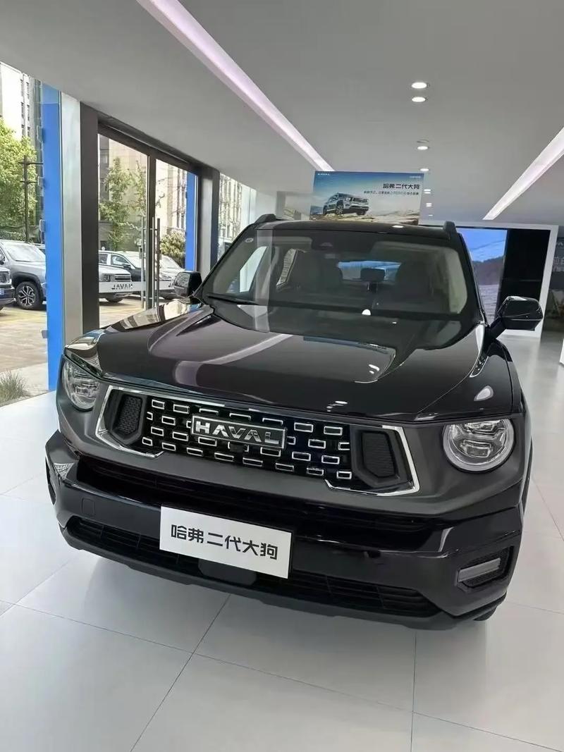 2022哈弗大狗真实口碑 哈弗大狗最新评测