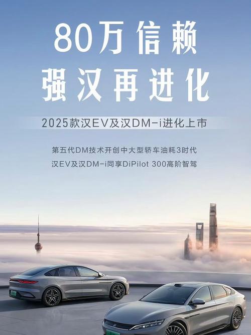 比亚迪汉上海车展/比亚迪汉预售活动