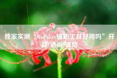 独家实测“WePoker辅助工具好用吗	”开挂(透视)辅助