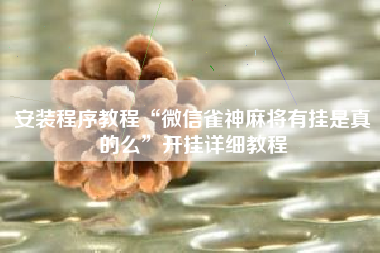 安装程序教程“微信雀神麻将有挂是真的么	”开挂详细教程