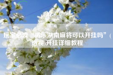 玩家必读“微乐湖南麻将可以开挂吗	”(透视)开挂详细教程