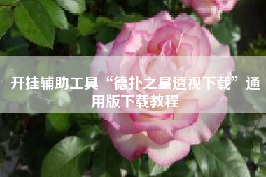 开挂辅助工具“德扑之星透视下载	”通用版下载教程