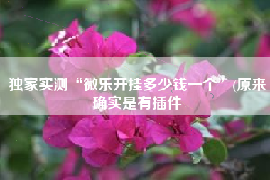 独家实测“微乐开挂多少钱一个”(原来确实是有插件