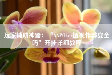 玩家辅助神器：“AAPOker透视作弊安全吗”开挂详细教程