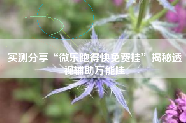 实测分享“微乐跑得快免费挂	”揭秘透视辅助万能挂