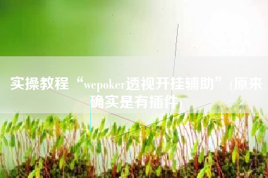 实操教程“wepoker透视开挂辅助”(原来确实是有插件)