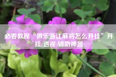 必看教程“微乐浙江麻将怎么开挂”开挂(透视)辅助神器