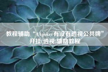 教程辅助“AApoker有没有透视公共牌	”开挂(透视)辅助教程