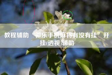 教程辅助“微乐手机麻将有没有挂”开挂(透视)辅助
