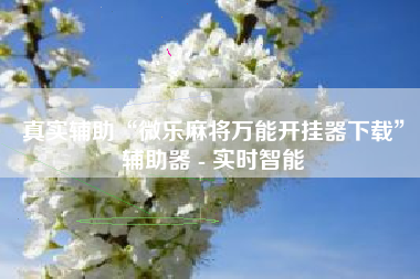 真实辅助“微乐麻将万能开挂器下载”辅助器 - 实时智能