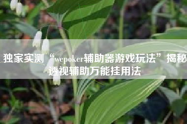 独家实测“wepoker辅助器游戏玩法”揭秘透视辅助万能挂用法
