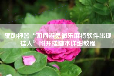 辅助神器“如何避免微乐麻将软件出现挂人”附开挂脚本详细教程