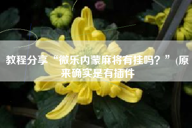 教程分享“微乐内蒙麻将有挂吗？”(原来确实是有插件