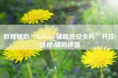 教程辅助“WePoker辅助器安全吗	”开挂(透视)辅助神器