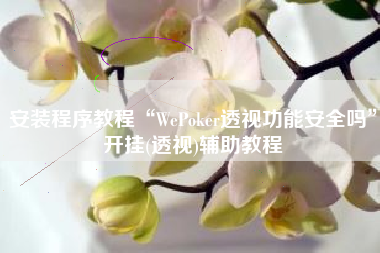 安装程序教程“WePoker透视功能安全吗”开挂(透视)辅助教程