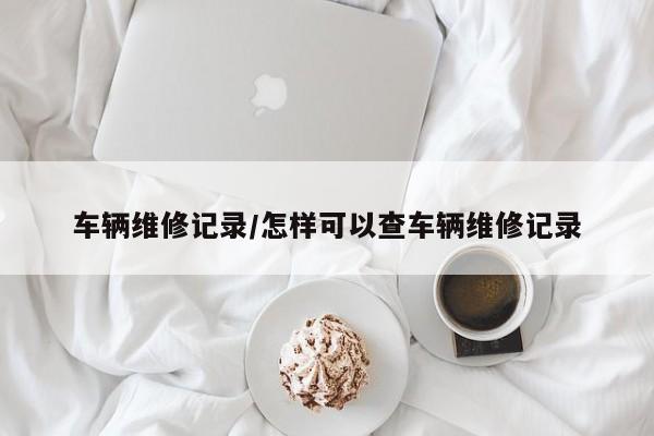 车辆维修记录/怎样可以查车辆维修记录